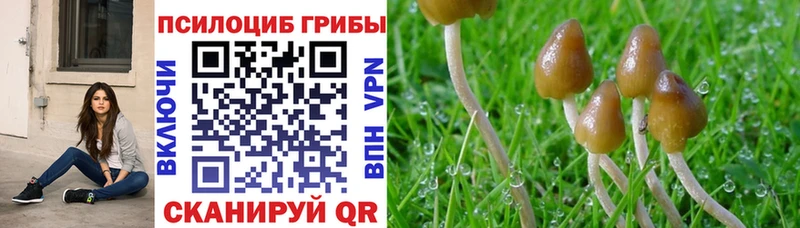 цены наркотик  Верхнеуральск  Галлюциногенные грибы ЛСД 
